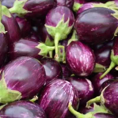 Eggplant (বেগুন)