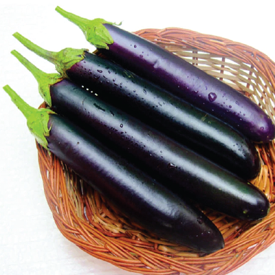 Eggplant (বেগুন)