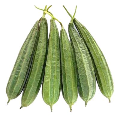 Ridge Gourd / ঝিঙ্গা"