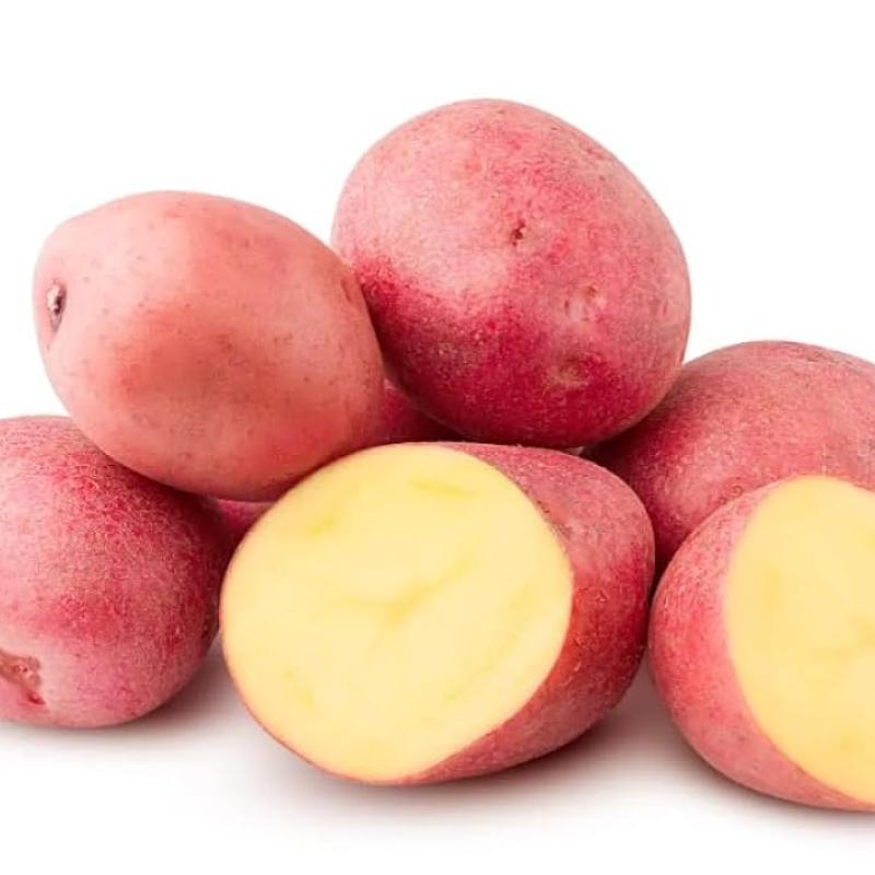 Red Potato (Pakri) (পাকড়ি আলু)