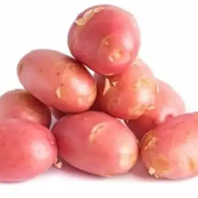 Red Potato (Pakri) (পাকড়ি আলু)