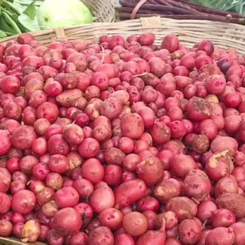Hagrai Potato (হাগরাই আলু)