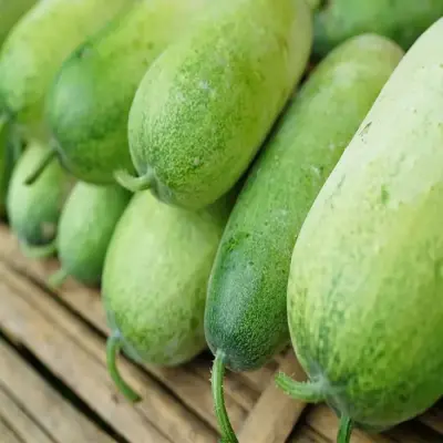 Ash Gourd / চাল কুমড়া