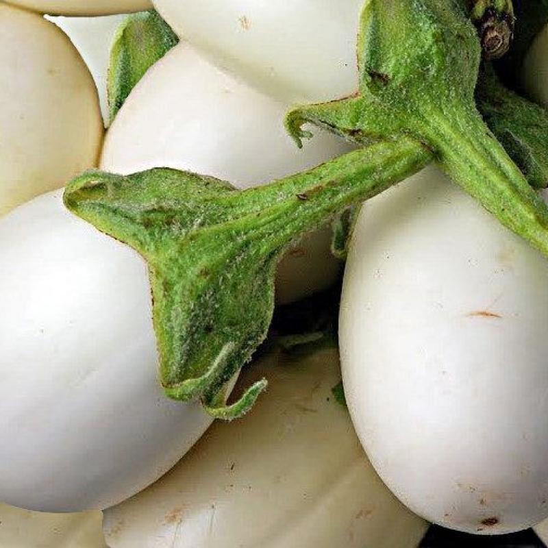 White Round Eggplant (সাদা গোল বেগুন)