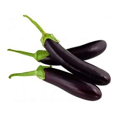 Black Eggplant (কালো বেগুন)