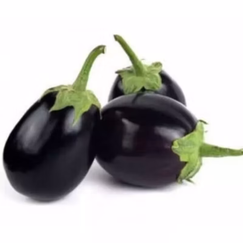 Black Eggplant (কালো বেগুন)
