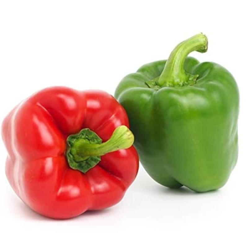 Capsicum (Bell Pepper) (ক্যাপসিকাম)