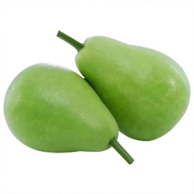 Round Bottle Gourd (সাচি লাউ গোল)