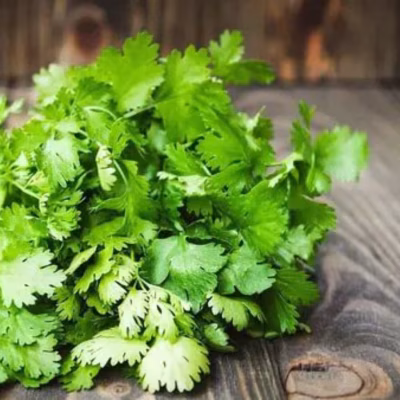 Coriander Leaf (ধনিয়া পাতা)