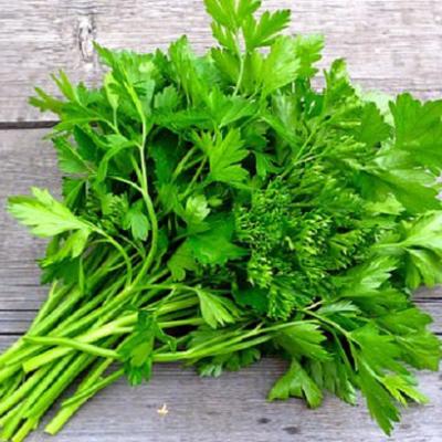 Coriander Leaf (ধনিয়া পাতা)