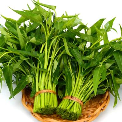 Kolmi Greens (কলমি শাক)