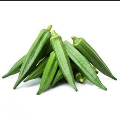 Lady Finger (Okra) (ঢেঁড়স)