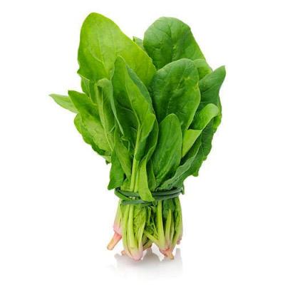Malabar Spinach (পুঁই শাক)