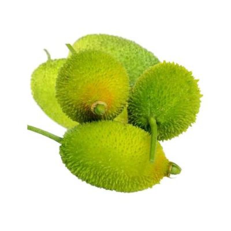 Teasle Gourd (কাঁকরোল)