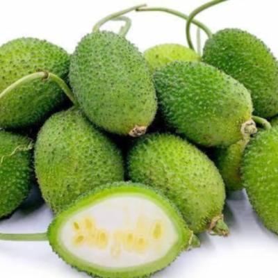 Teasle Gourd (কাঁকরোল)