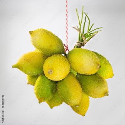 Teasle Gourd (কাঁকরোল)