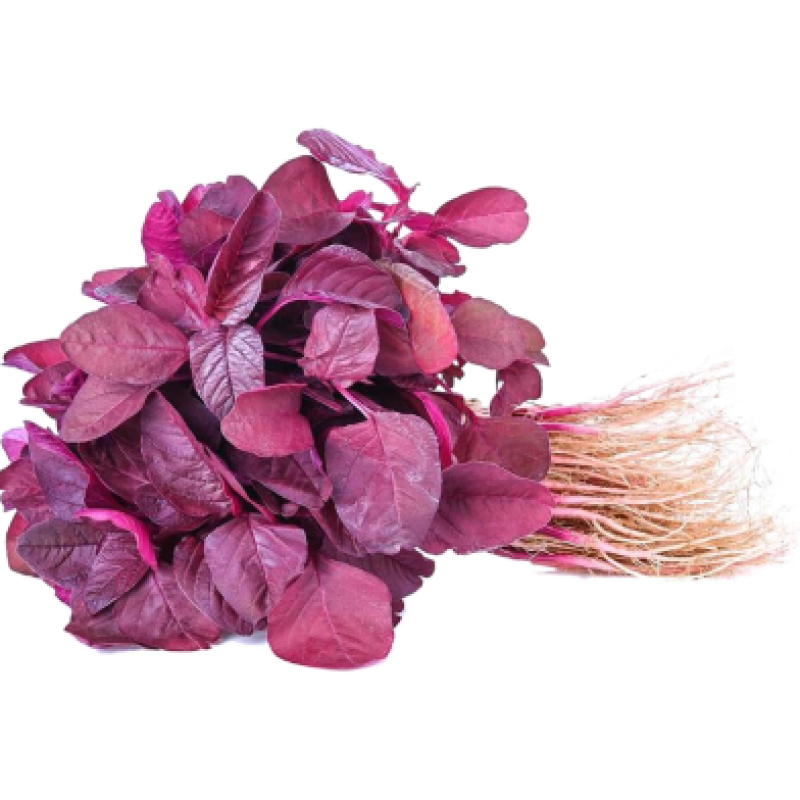Red Spinach (লাল শাক)