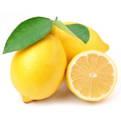 Lemon (লেবু)