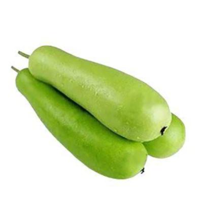 Long Bottle Gourd (সাচি লাউ লম্বা)