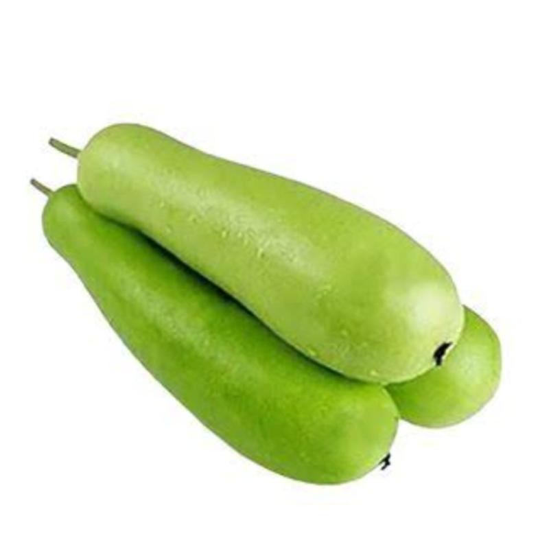 Long Bottle Gourd (সাচি লাউ লম্বা)