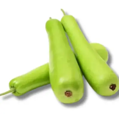 Long Bottle Gourd (সাচি লাউ লম্বা)