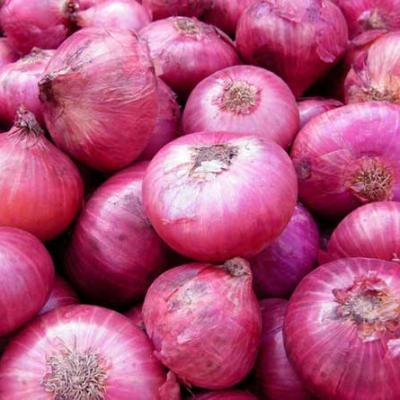 Onion (Deshi) (পেঁয়াজ দেশি)