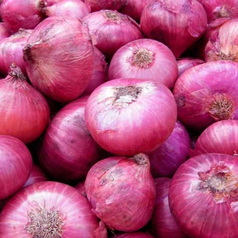 Onion (Deshi) (পেঁয়াজ দেশি)