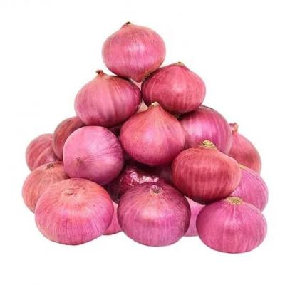 Onion (Deshi) (পেঁয়াজ দেশি)