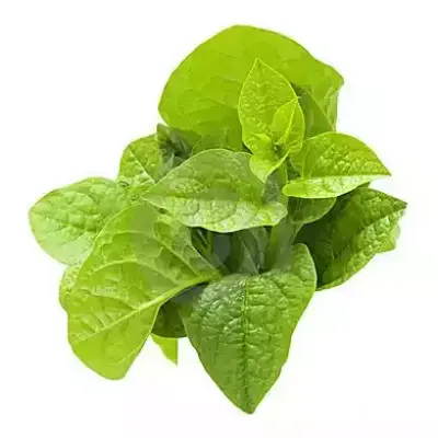 Malabar Spinach (পুঁই শাক)