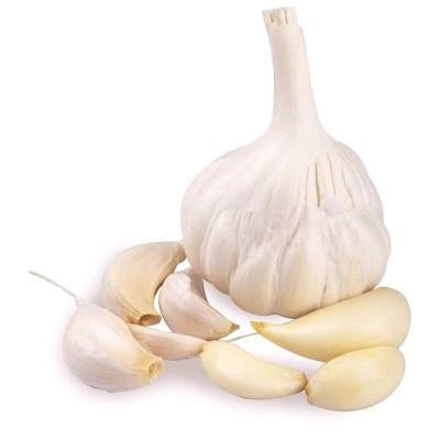 Garlic (Deshi) (রসুন দেশি)