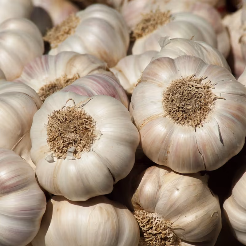 Garlic (Deshi) (রসুন দেশি)