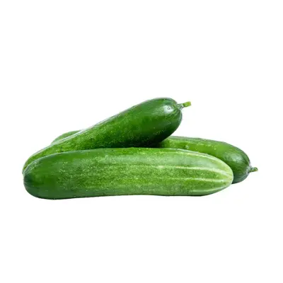 Cucumber (শসা)