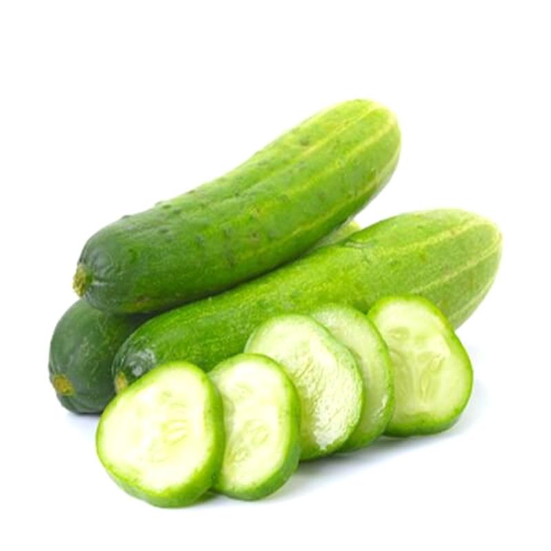 Cucumber (শসা)