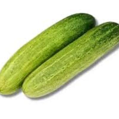 Cucumber (শসা)