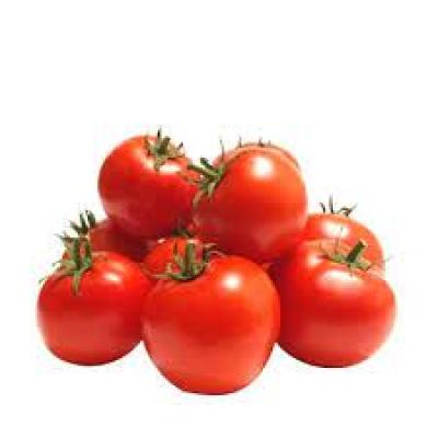 Tomato (টমেটো)